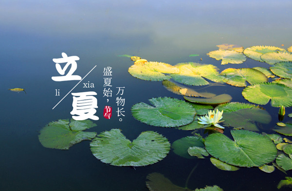 今日立夏：晴日暖风生麦气，绿阴幽草胜花时